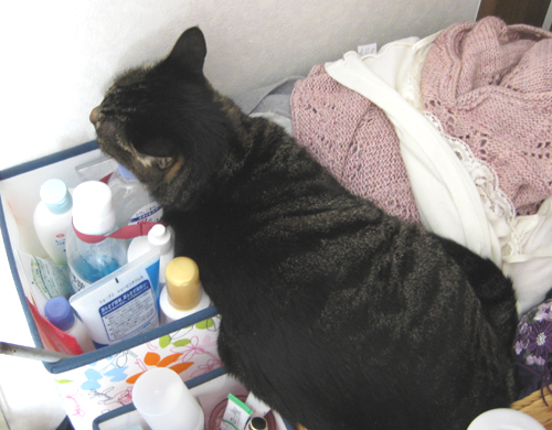 そりゃ無理やろ