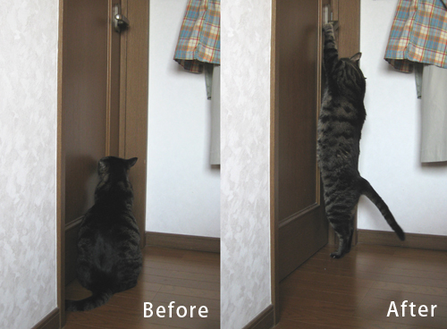 ひとりでできる