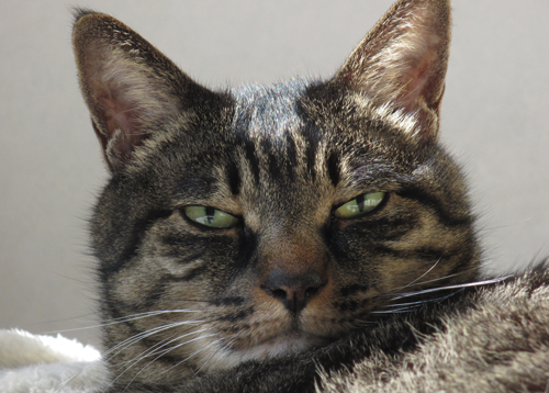 ジャックニコルスン2