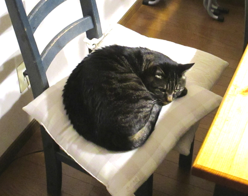 イス取りゲーム