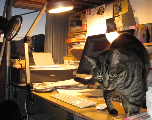 ゴンさんチェック