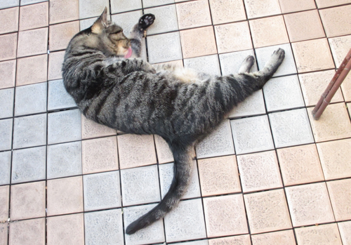 カタカナの「ケ」