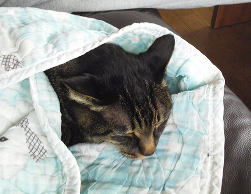 さむい、さむい。