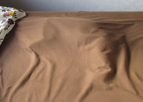 新しいベッドに