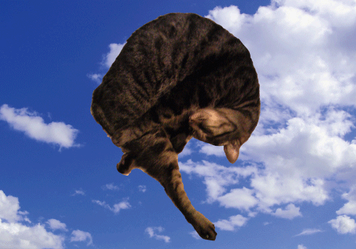 キャット空中三回転