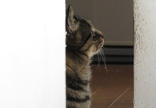 何を見つめる？