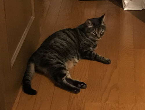 目からビーム！