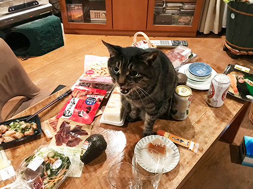 宴会でえ〜んかい