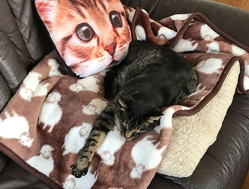 もうちょっと！