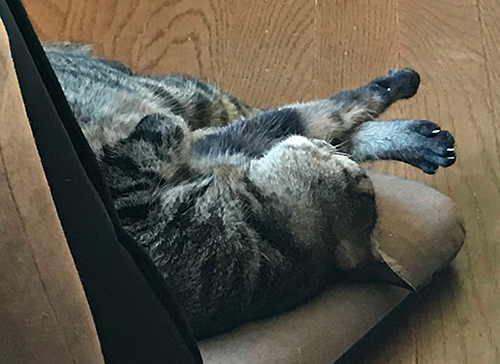 ぼ〜っと生きてんじゃね〜よ