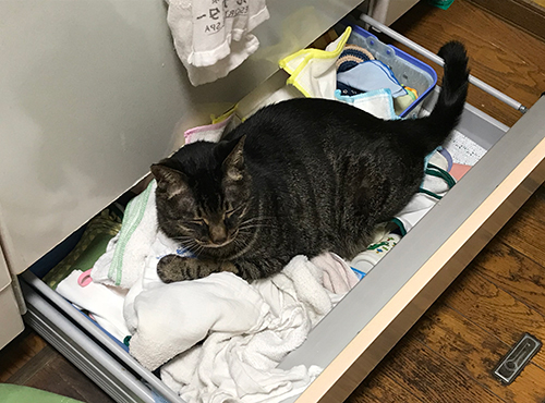 どこでもいいんかい！