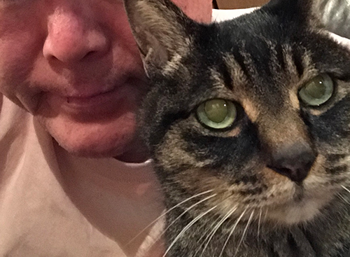 強制ツーショット