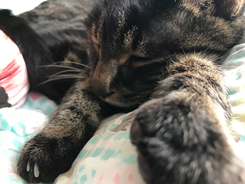 ぐ〜〜パンチ！