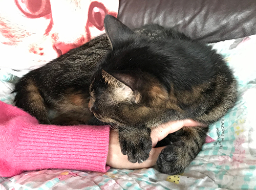 おが〜じゃ〜ん