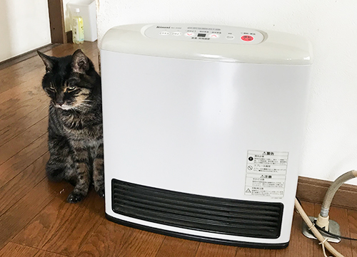 そこでは暖まりませんが。