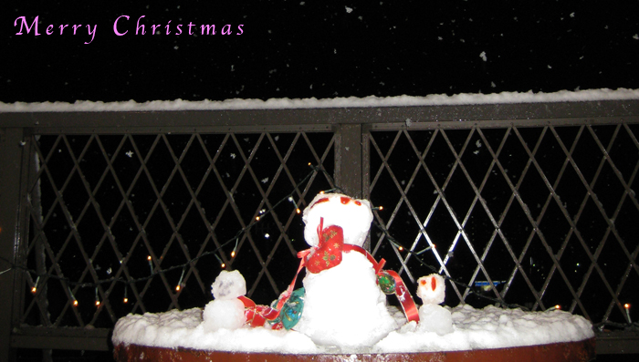 真夏のクリスマス