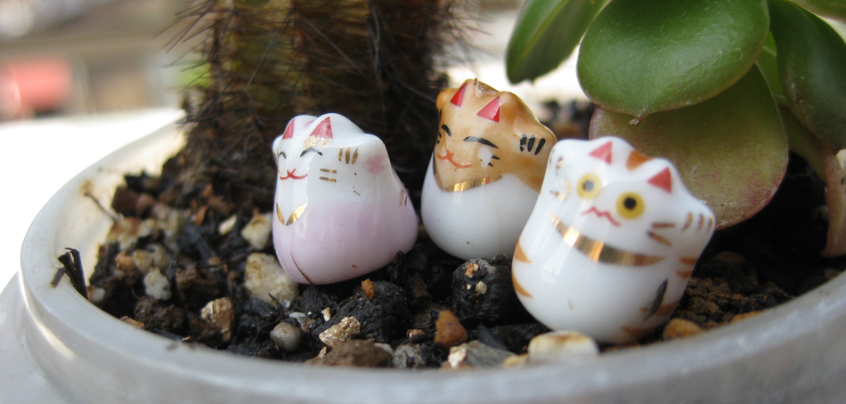 まねきねこーず