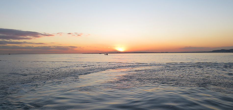 東京湾フェリー