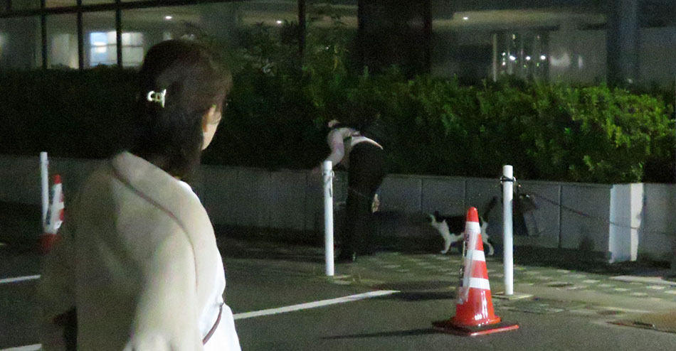 サン捕獲作戦第1回