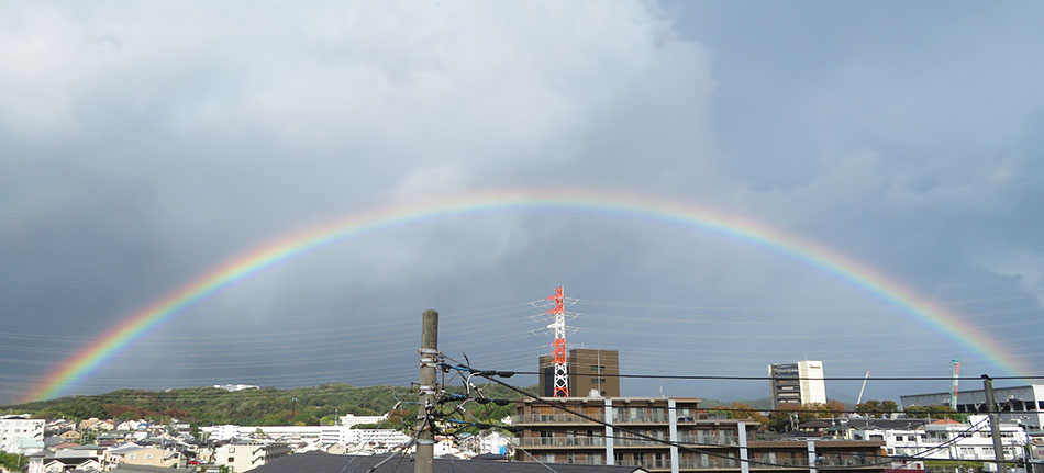 ダブルレインボー