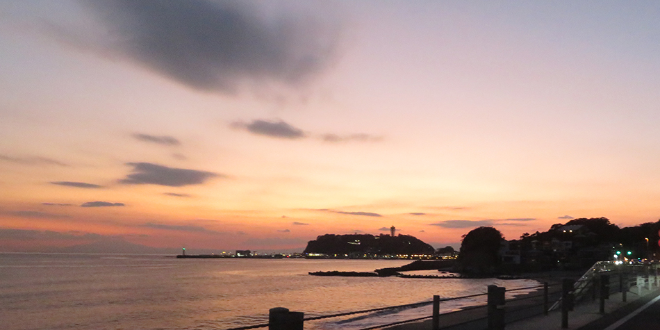 三崎まぐろドライブ