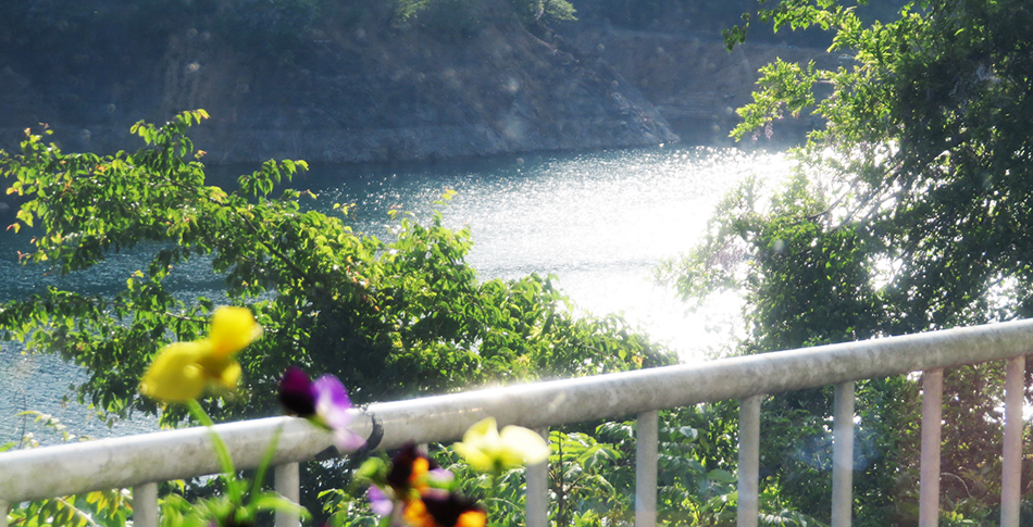 カフェ オギッソ