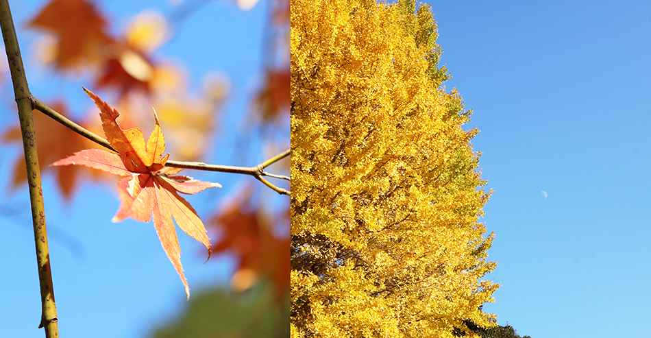 プチツーリング