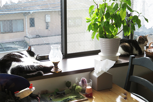 ひさびさのツーショット