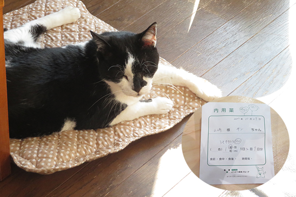 おくすりが出た