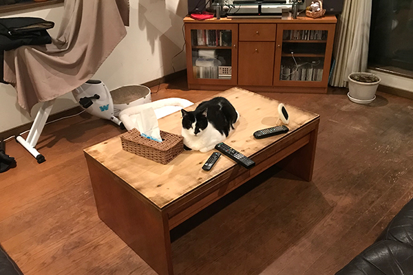 慣れたを超えてずうずうしい。