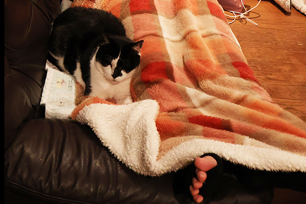 サンとおかんの足