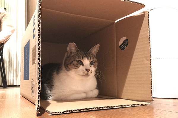 サンダーバード2号