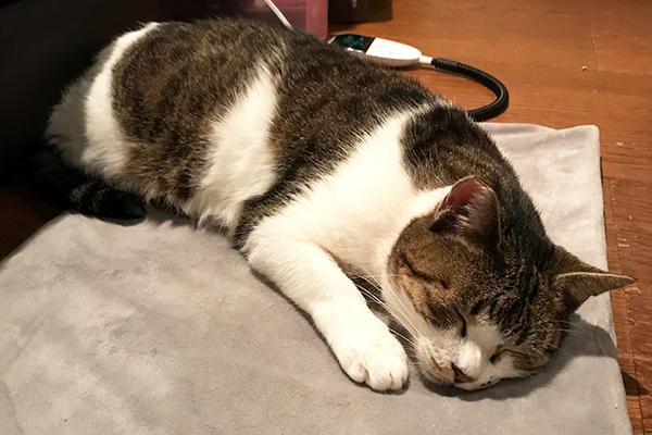 電気はあったかい