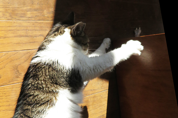 来てます、来てます